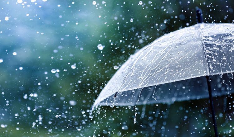 বৃষ্টি হতে পারে যে সাত বিভাগে